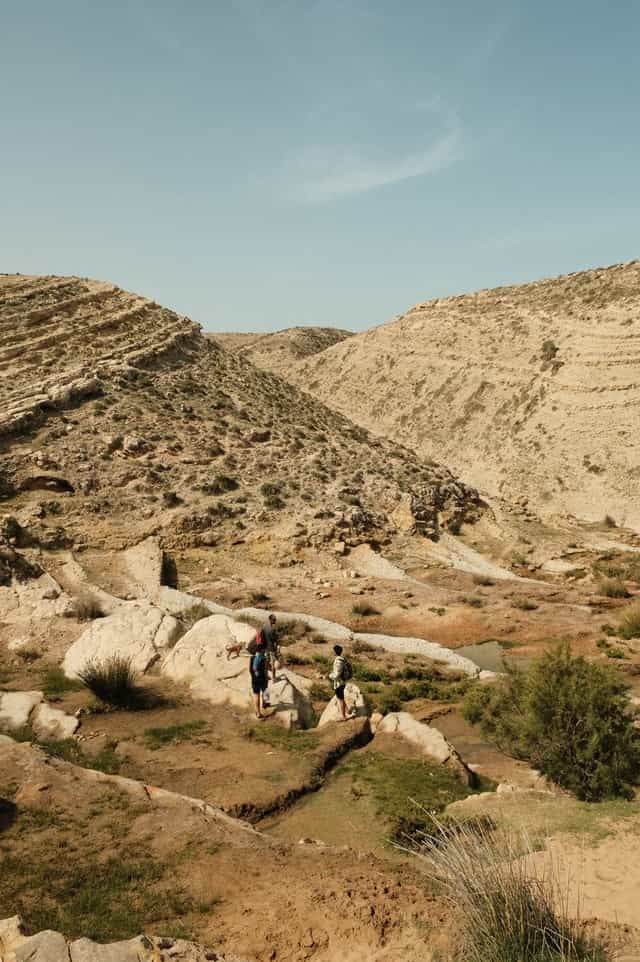 lifestraw for hiking