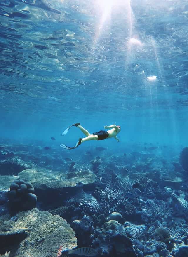 puerto rico excursions diving