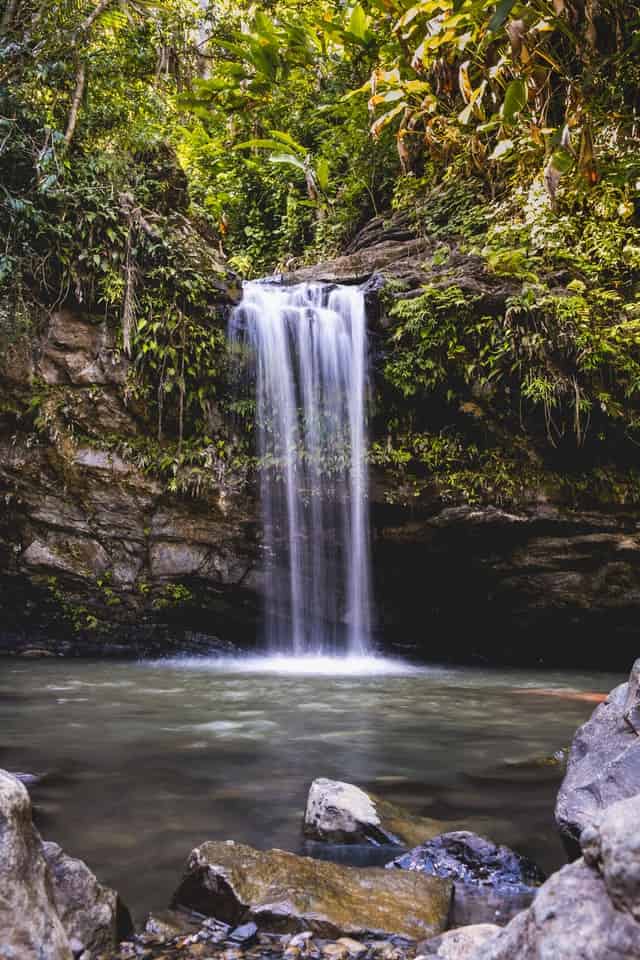 El Yunque National Forest Puerto rico adventure