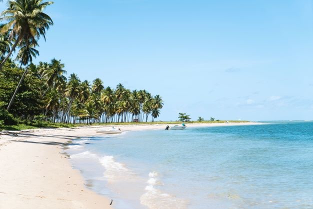 beach vacation packing list 2022 what to pack tips