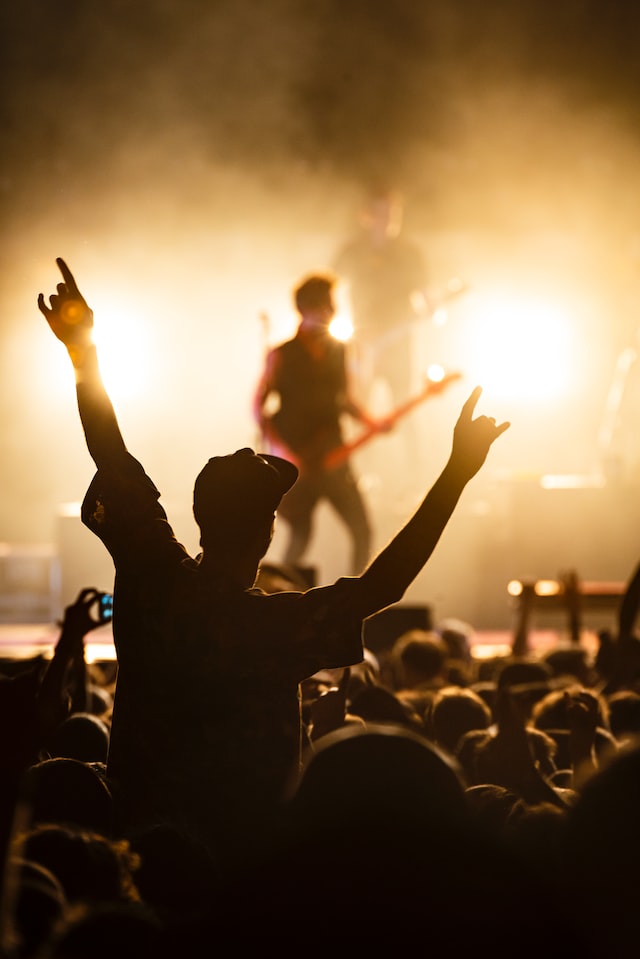 crowd at festival