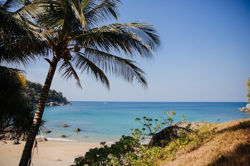 Palm trees on the beach in Phuket, Thailand