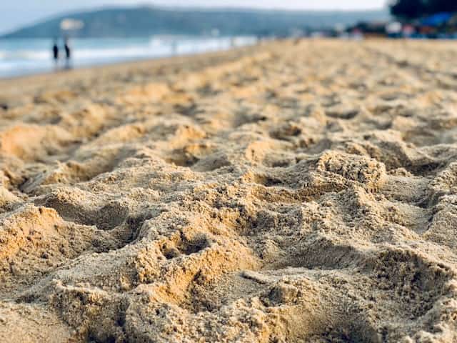 calangute beach goa