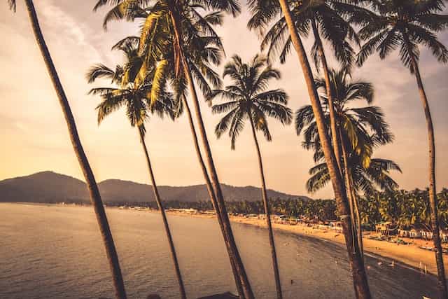 palolem beach goa india