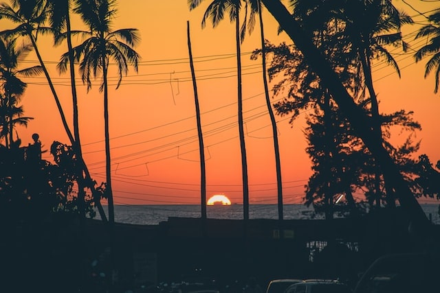 arambol beach goa india