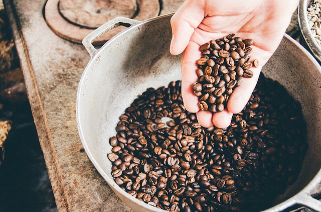 Person holding handful of coffee beans over pot of coffee beans