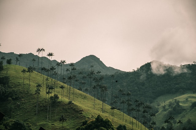 Scenery of Colombian nature valley