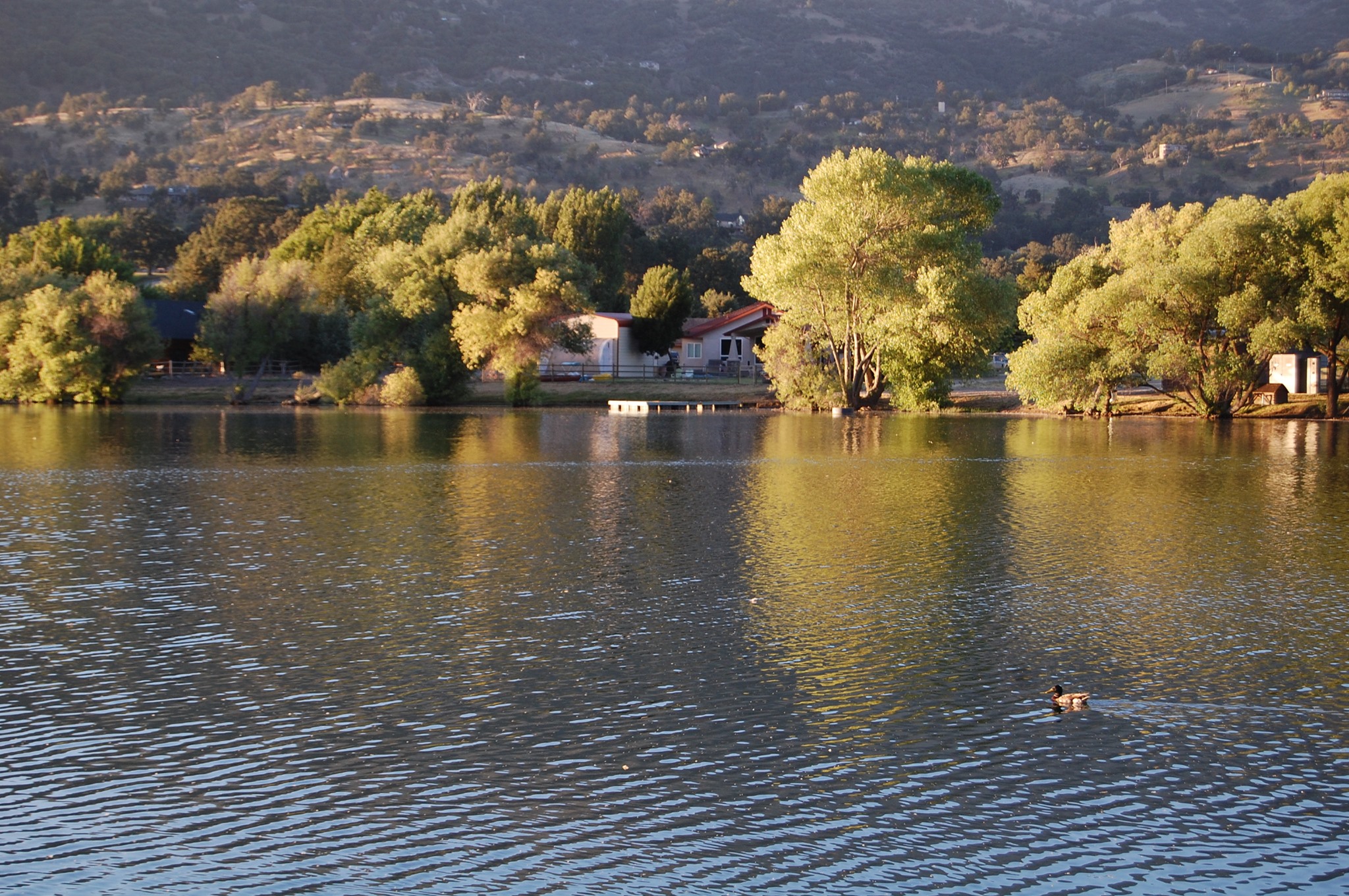 Bear Valley Springs Association