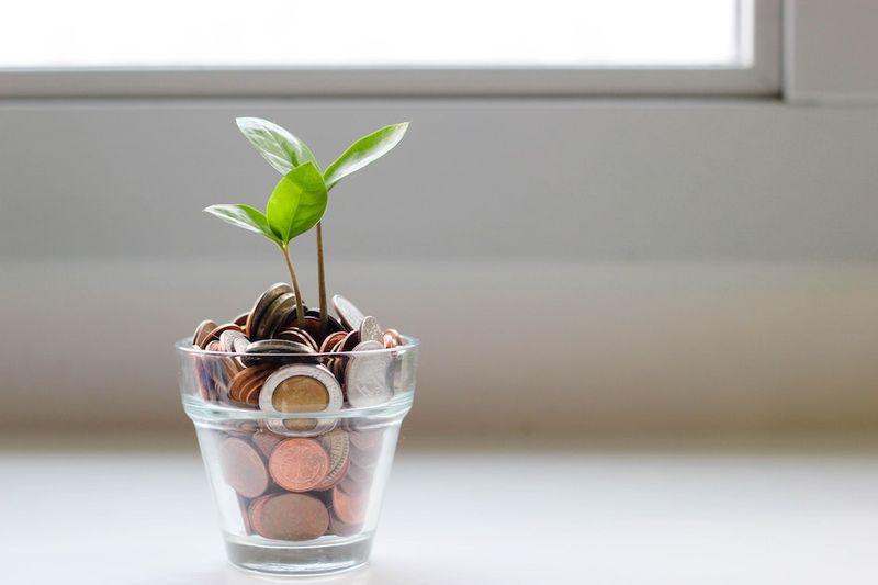 Paiement à échoir ou à terme échu définition