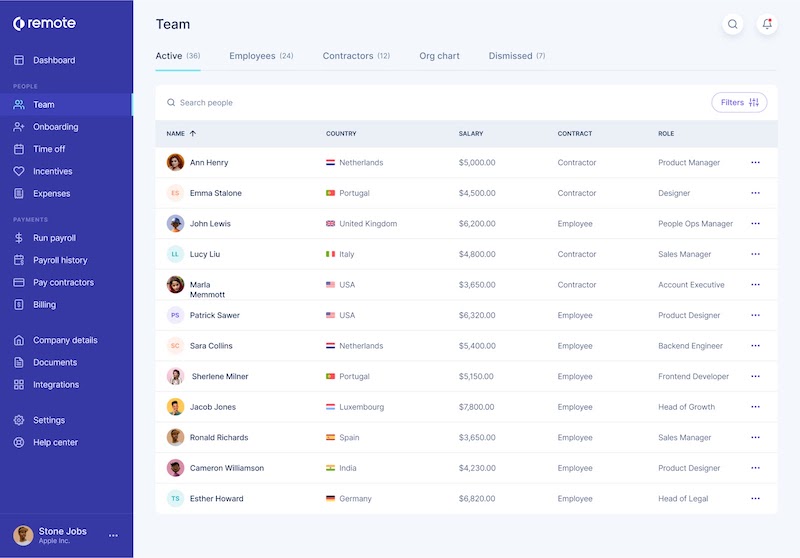Remote user experience screenshot