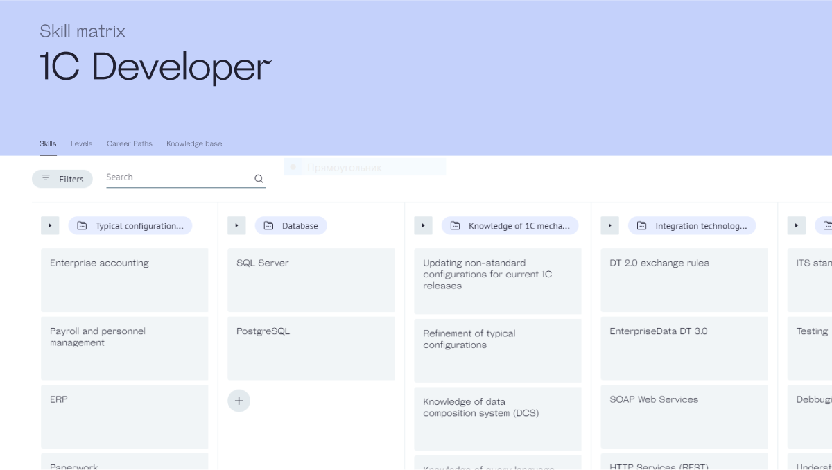 1C Developer