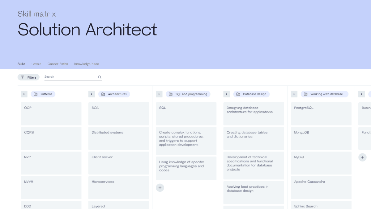 Solution Architect