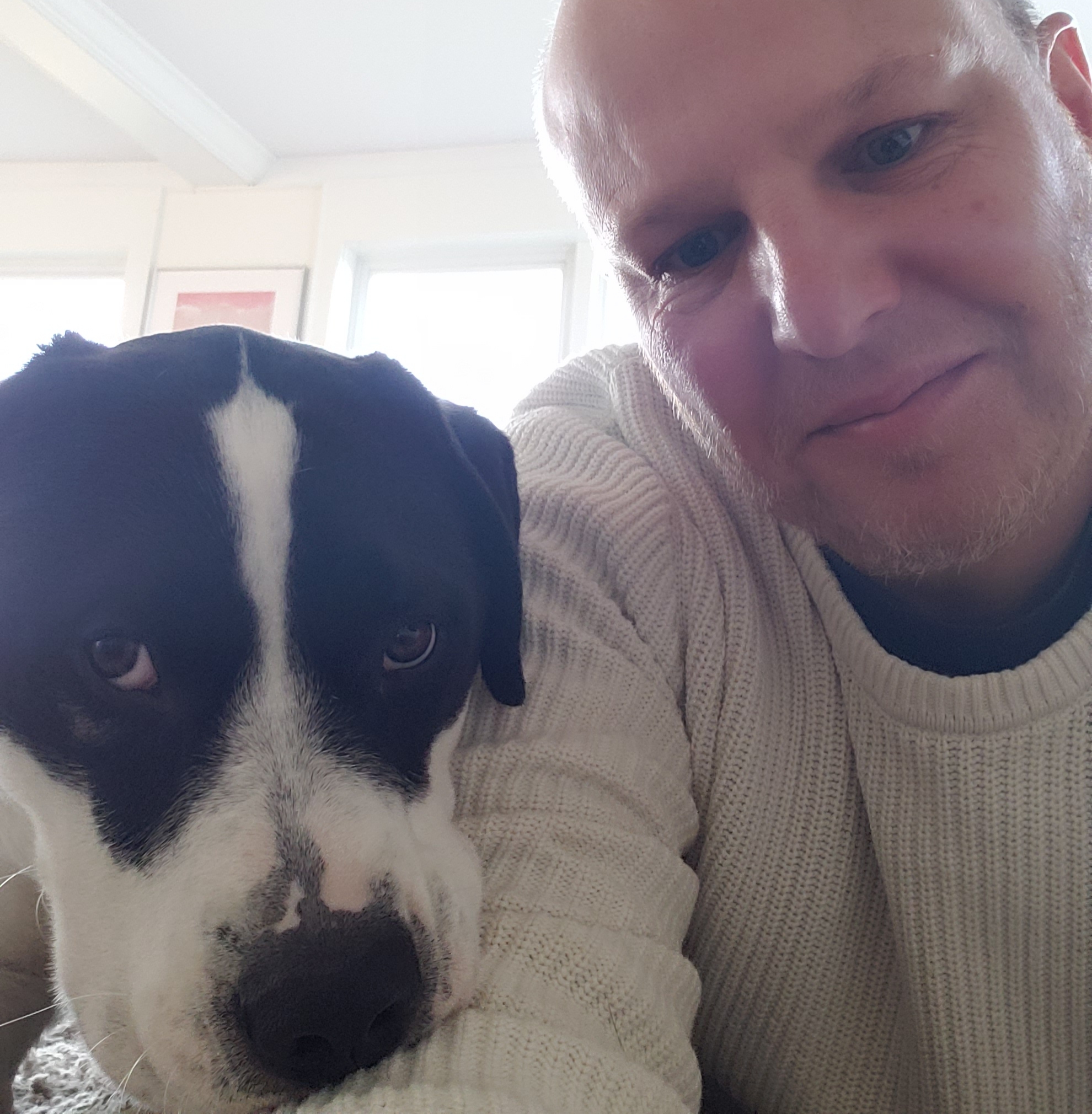 chlorophyll tablets for dogs