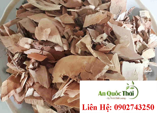 cay muoi chua benh gi
