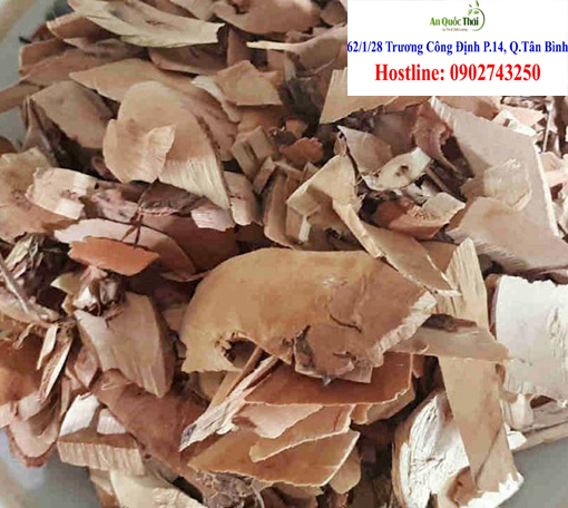 cach dung cay muoi