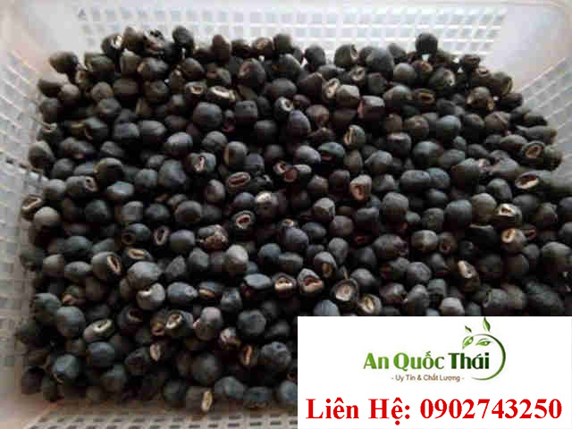 hinh anh hat chuoi co don
