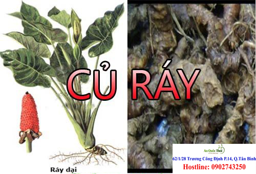 tac dung cua cu ray