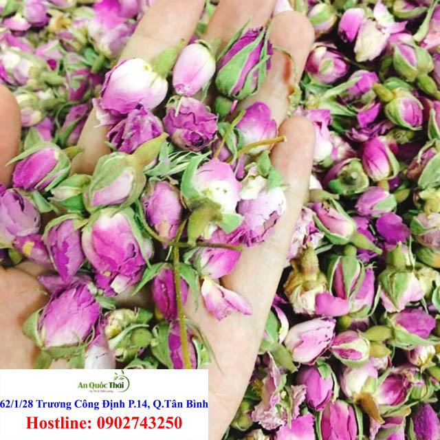 nu hoa hong kho