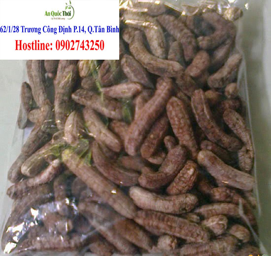 dia chi ban chuoi hot rung