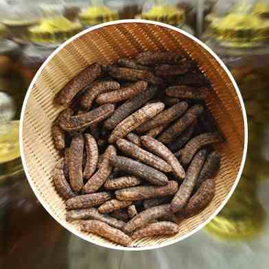 dia chi ban chuoi hot rung kho