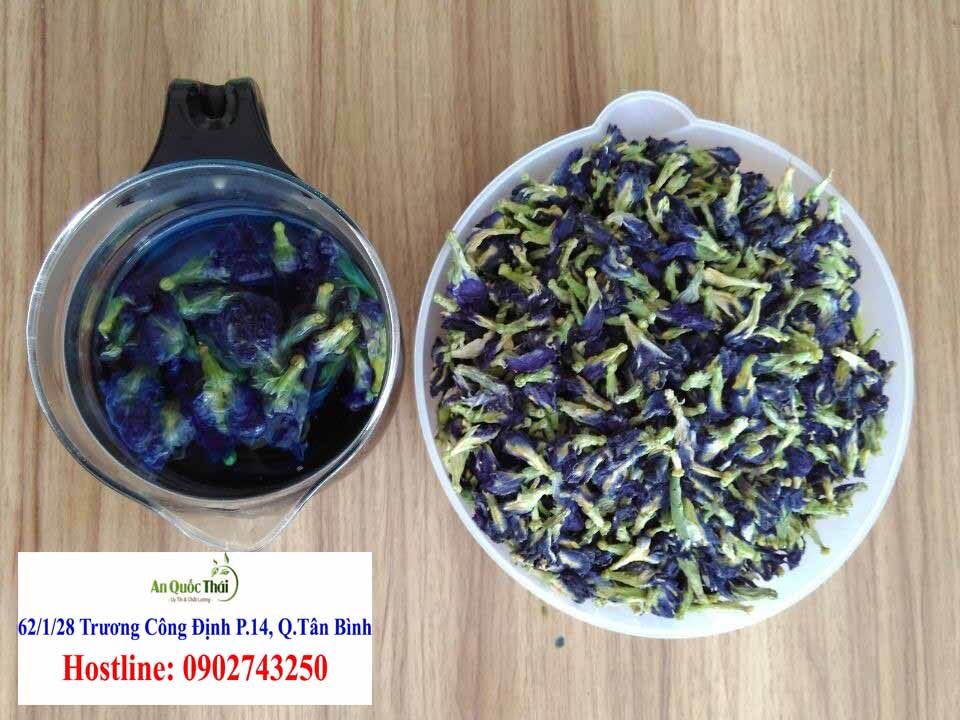 mua hoa dau biec o dau