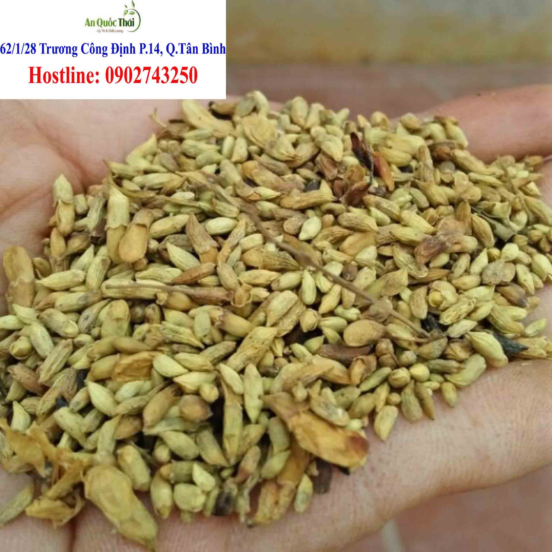 hoa hoe ban o dau