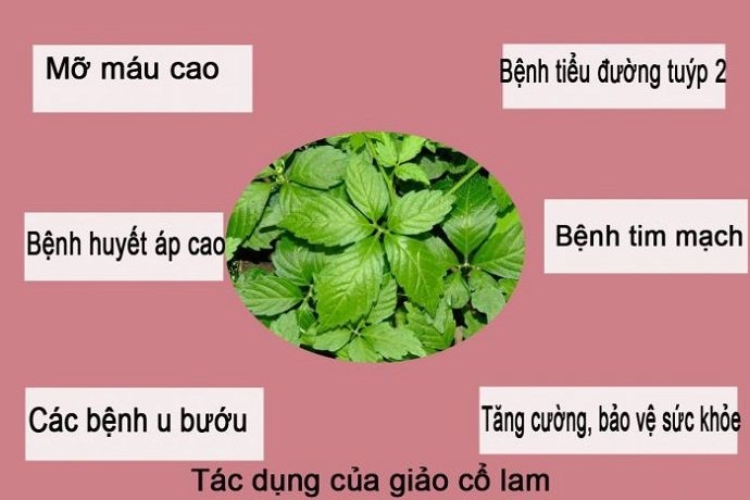 giao co lam mua o dau