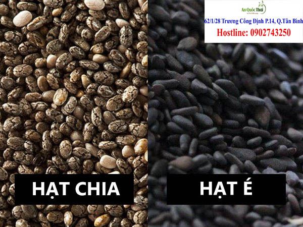 ban hat e
