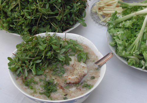 hinh anh rau dang dat