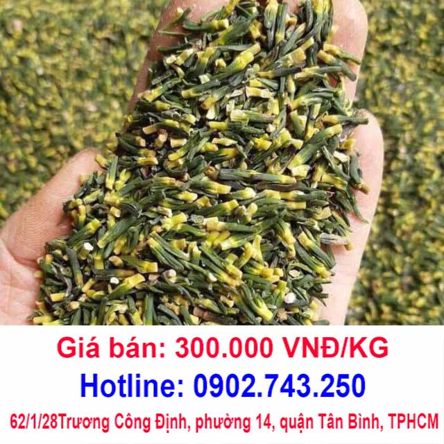 tac dung cua tim sen