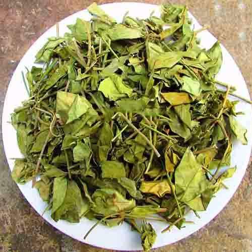 day thia canh chua tieu duong