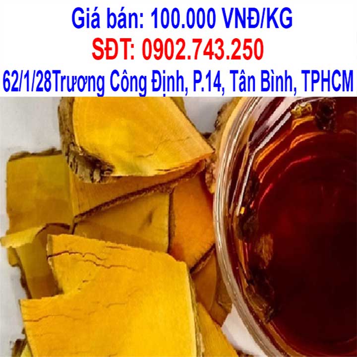 cay mat gau chua benh gi