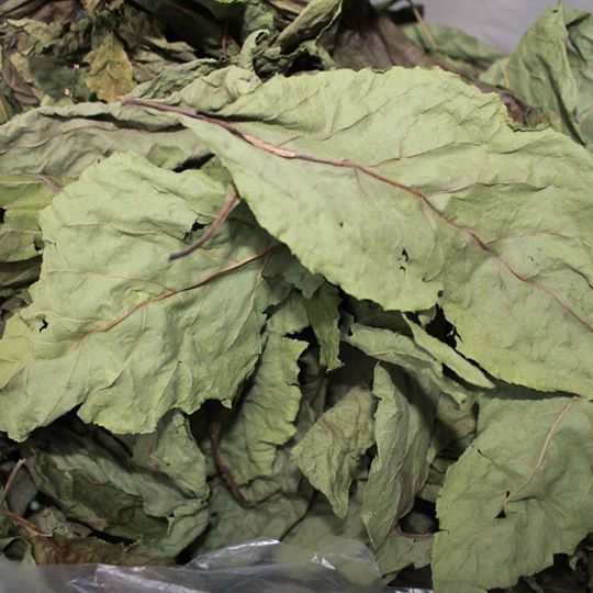 la mat gau