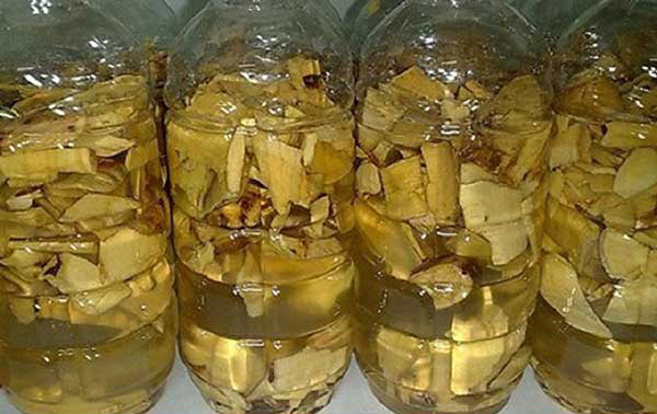 cay mat gau ngam ruou
