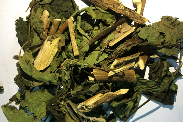 ban cay mat gau