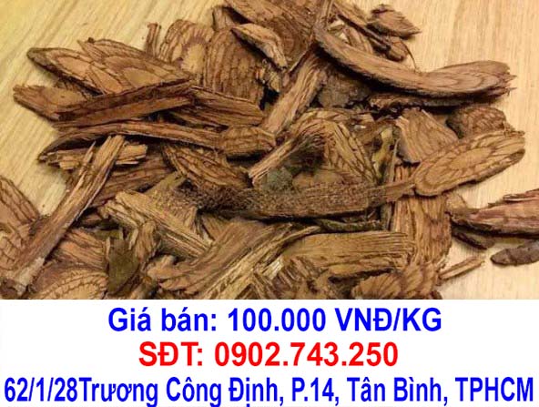 hinh anh day gam