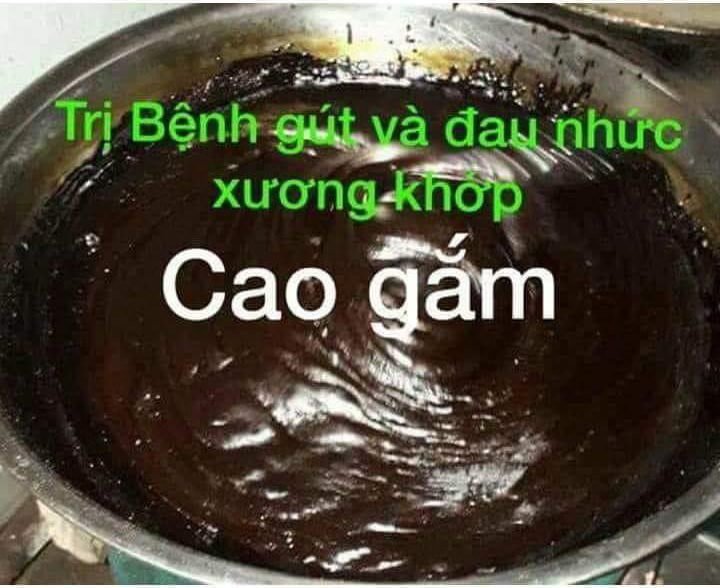 mua day gam