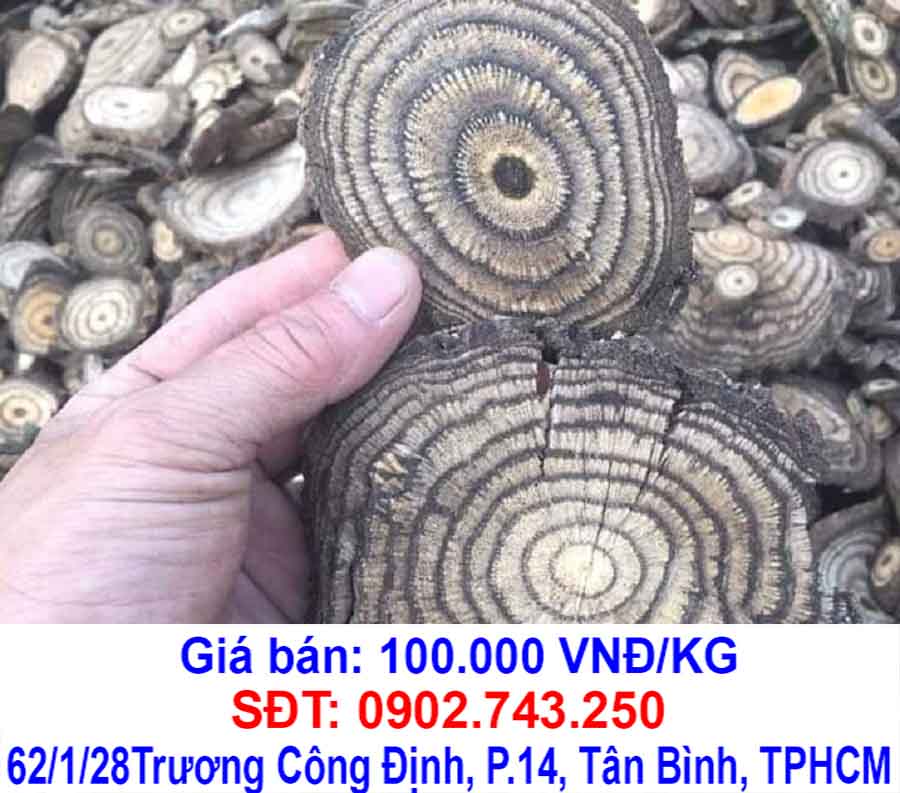 day gam ngam ruou