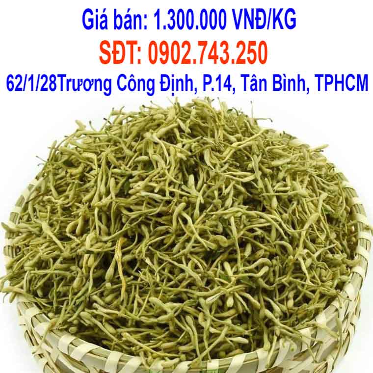 kim ngan hoa mua o dau