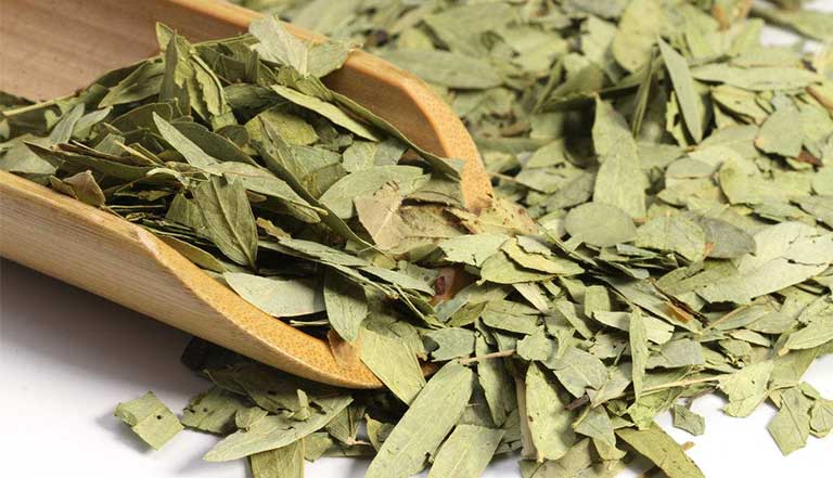 la phan ta diep