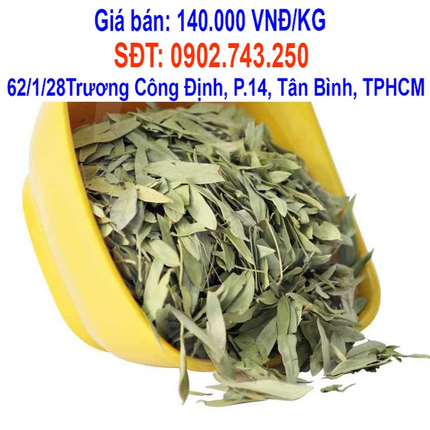 phan ta diep mua o dau