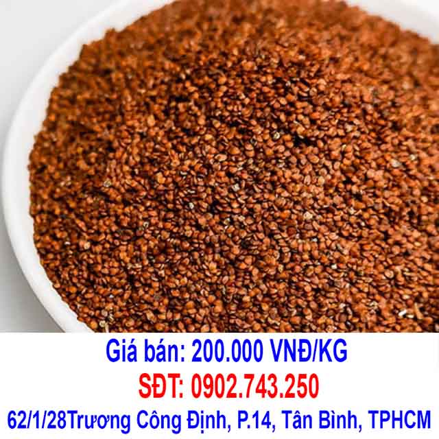 hat ngu hoa