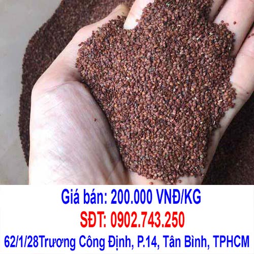 cach dap mat na ngu hoa hat