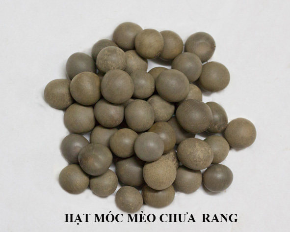 hat moc meo kho