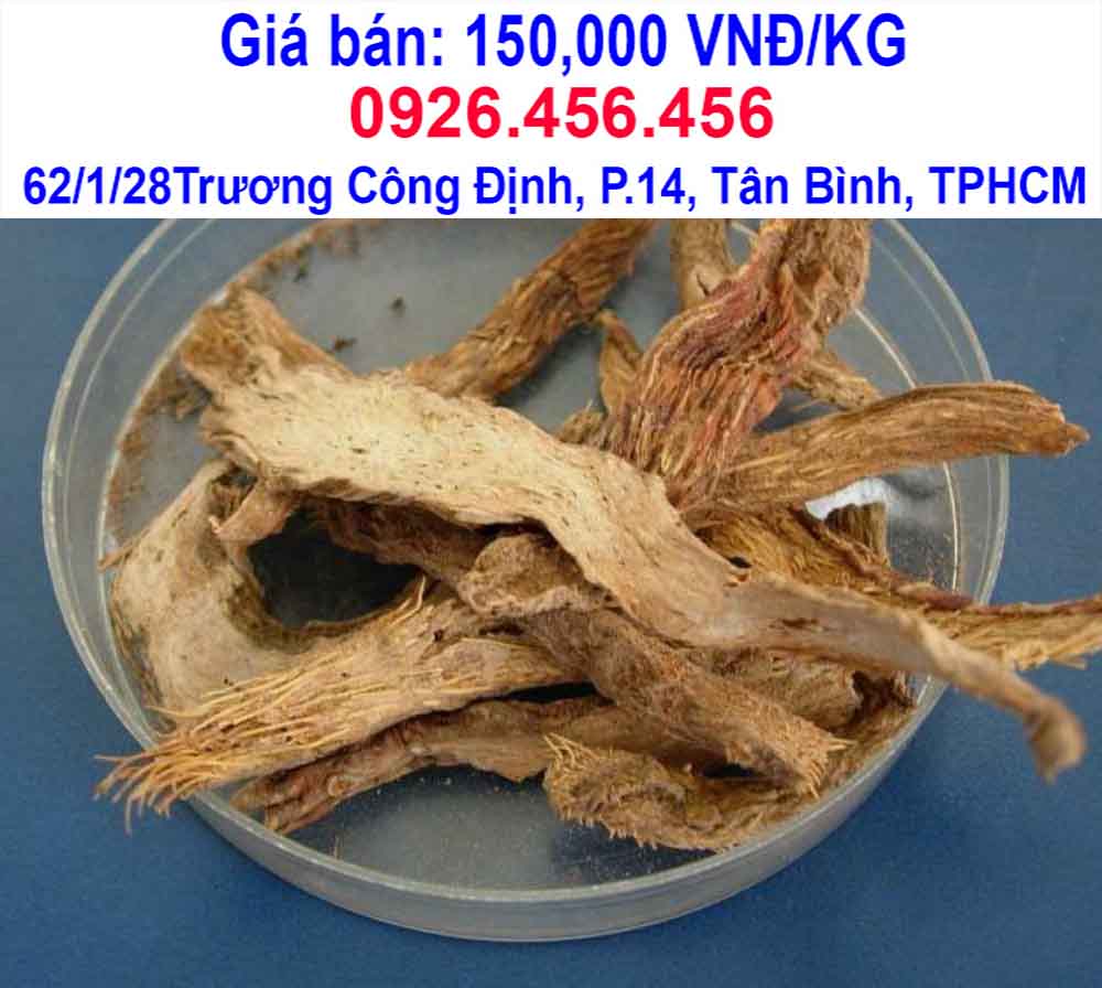 thien nien kien