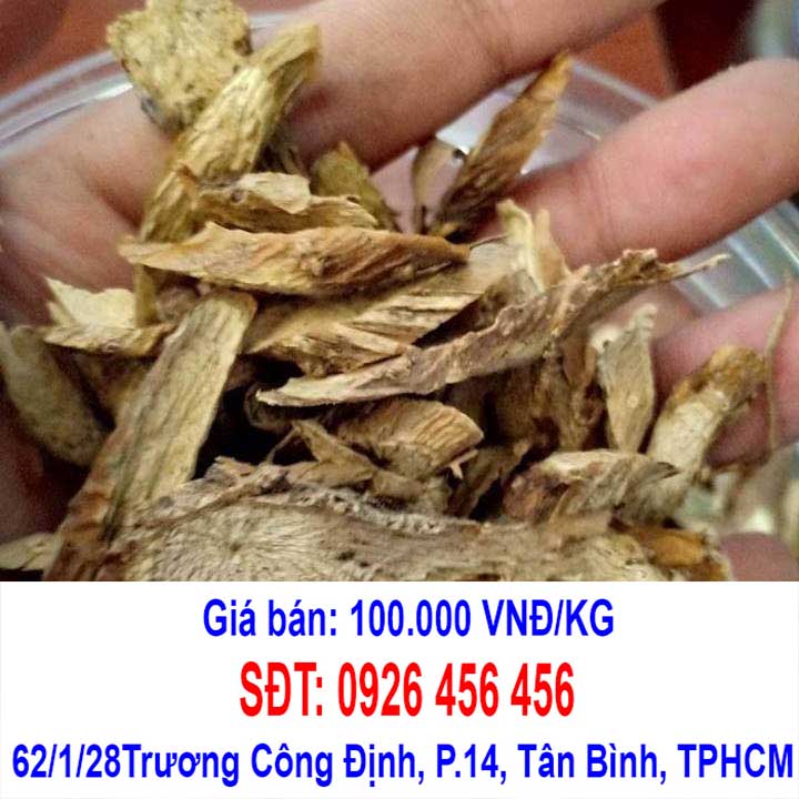 cay day dau xuong
