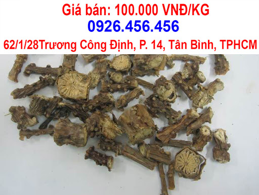 cay than thong chua benh gi