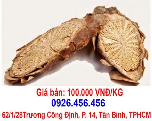 cay than thong tri benh gi