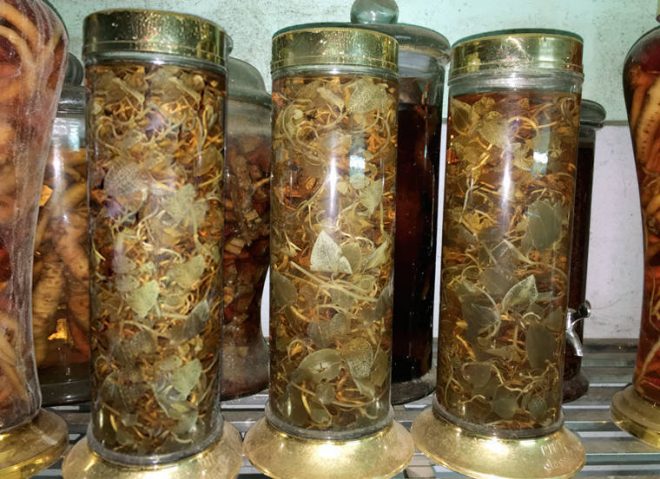 gia ban lan kim tuyen
