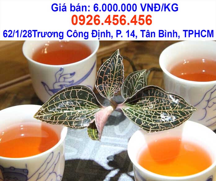 trong lan kim tuyen
